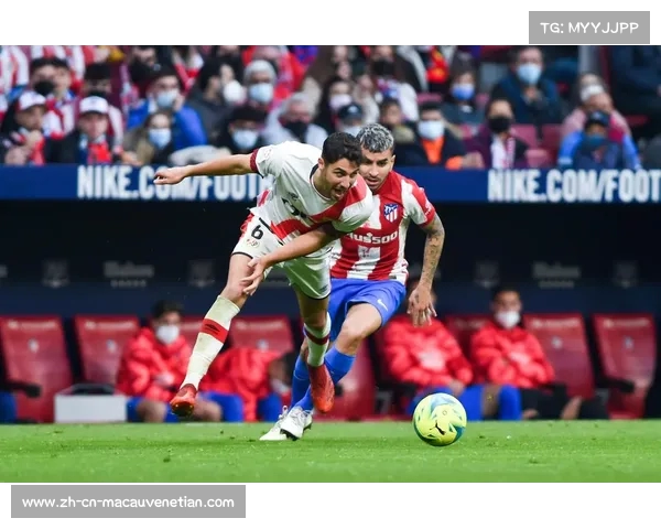 马德里竞技战胜巴列卡诺巩固西甲争冠之路勇夺三分 马德里竞技战胜巴列卡诺巩固西甲争冠之路勇夺三分